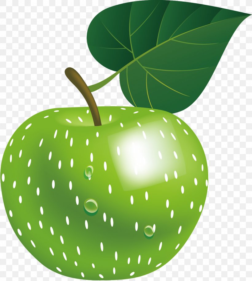 Apple Green Infographic Euclidean Vector, PNG, 1134x1262px, Apple, Food, Fruit, Green, Hand Download Free