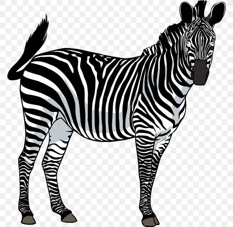 Clip Art, PNG, 768x799px, Zebra, Animal Figure, Black And White, Computer Graphics, Document Download Free