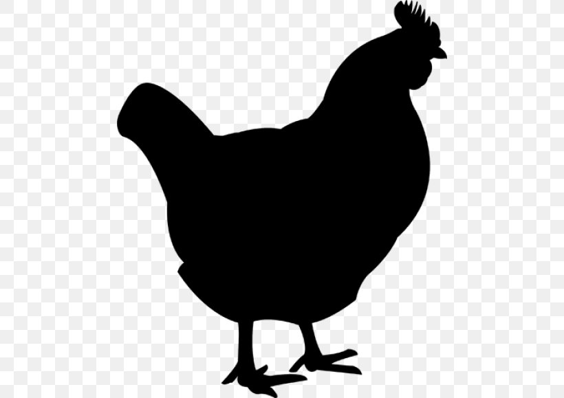 Silkie Plymouth Rock Chicken Fried Chicken Chicken As Food Buffalo Wing, PNG, 480x579px, Silkie, Beak, Bird, Black And White, Buffalo Wing Download Free