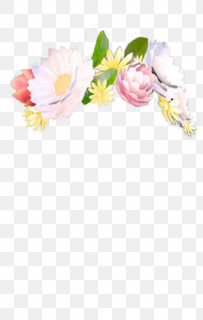 Fillter - YouTube Flower Gfycat PNG
