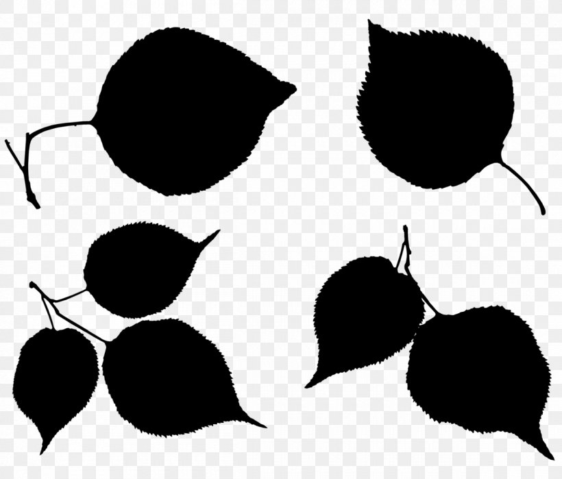 Black & White, PNG, 1200x1023px, Black White M, Black M, Flowering Plant, Fruit, Leaf Download Free