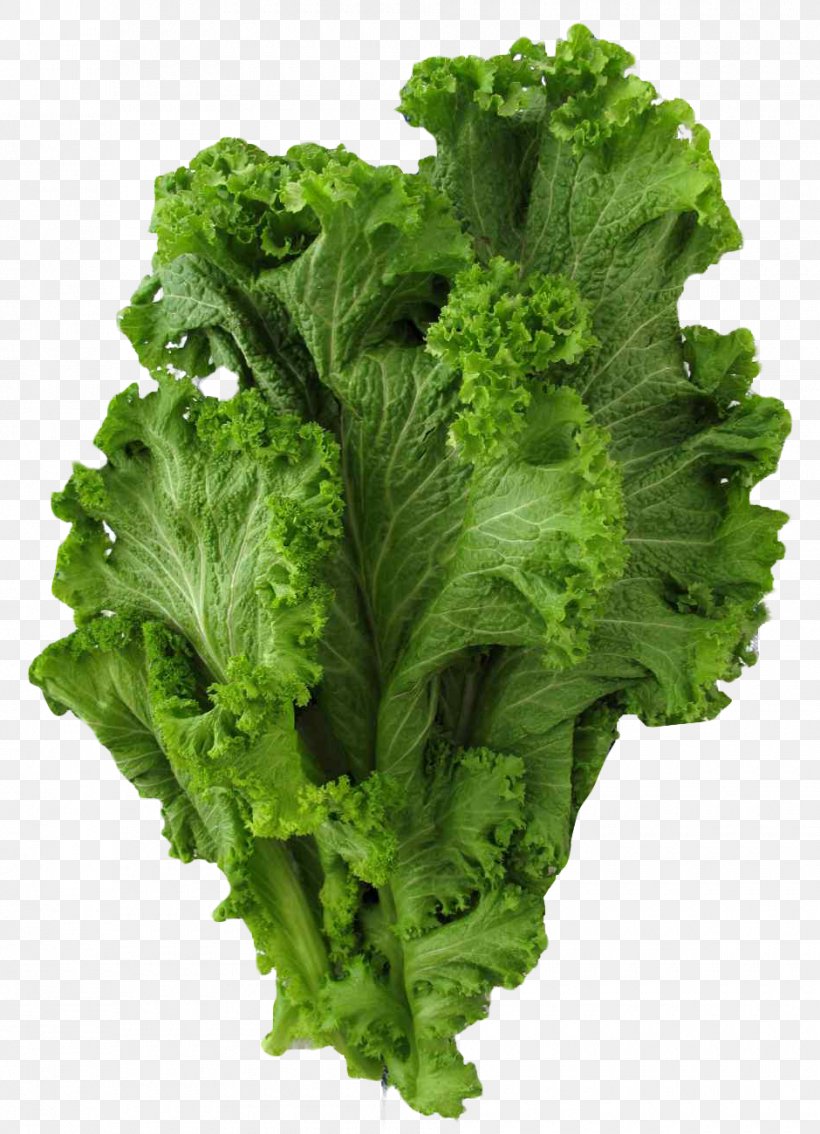 Brassica Juncea Vegetable Mustard Collard Greens, PNG, 940x1300px, Sarson Da Saag, Brassica Juncea, Broccoli, Cabbage, Cabbage Family Download Free