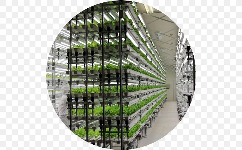 Hydroponics Grow Light Vertical Farming Greenhouse Agriculture, PNG, 510x510px, Hydroponics, Agriculture, Farm, Fullspectrum Light, Garden Download Free