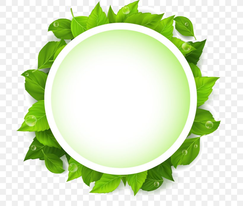 Leaf Green Text Euclidean Vector, PNG, 723x698px, Leaf, Alternative Medicine, Box, Grass, Green Download Free
