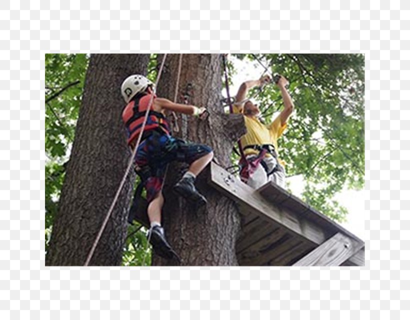 The Marcus Lewis Tennis Center Marcus Lewis Day Camp Summer Program In Westford, MA Abseiling Summer Camp, PNG, 640x640px, Day Camp, Abseiling, Acton, Adventure, Campervans Download Free