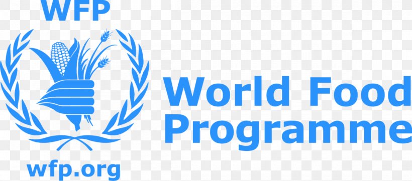 World Food Programme Hunger Humanitarian Aid Organization, PNG, 1200x529px, World Food Programme, Area, Blue, Brand, Donation Download Free