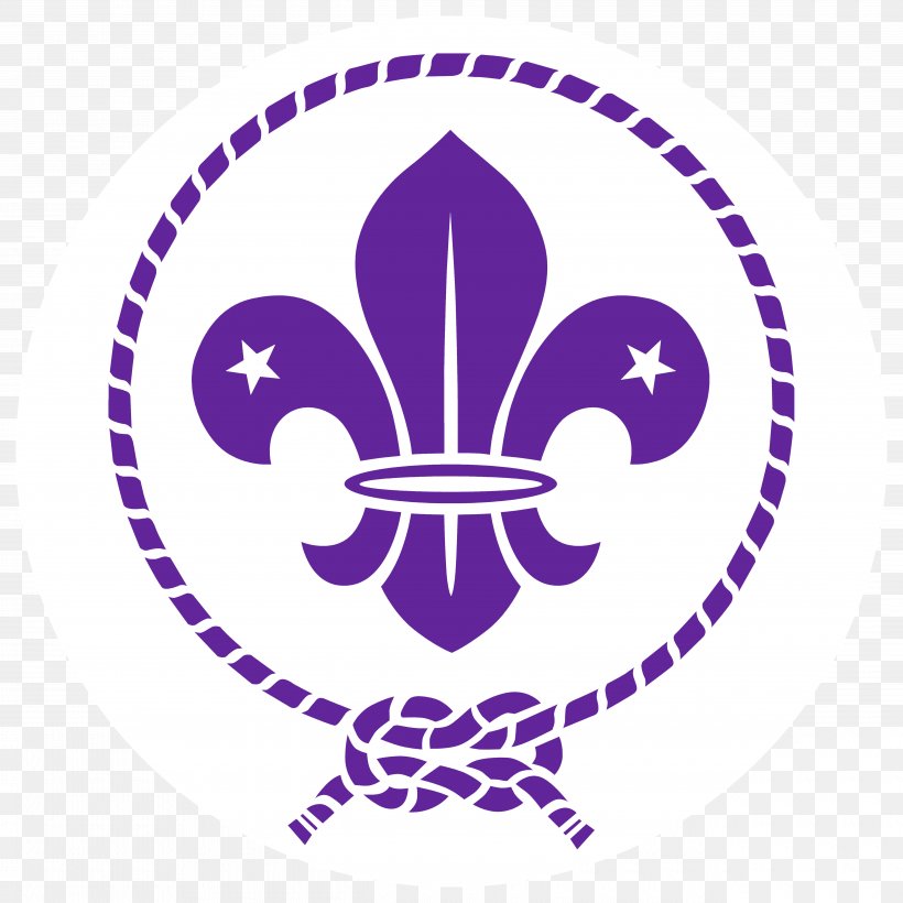 World Organization Of The Scout Movement Scouting For Boys Fleur-de-lis World Scout Emblem, PNG, 5080x5080px, Scouting For Boys, Area, Boy Scouts Of America, Cub Scout, Fleurdelis Download Free
