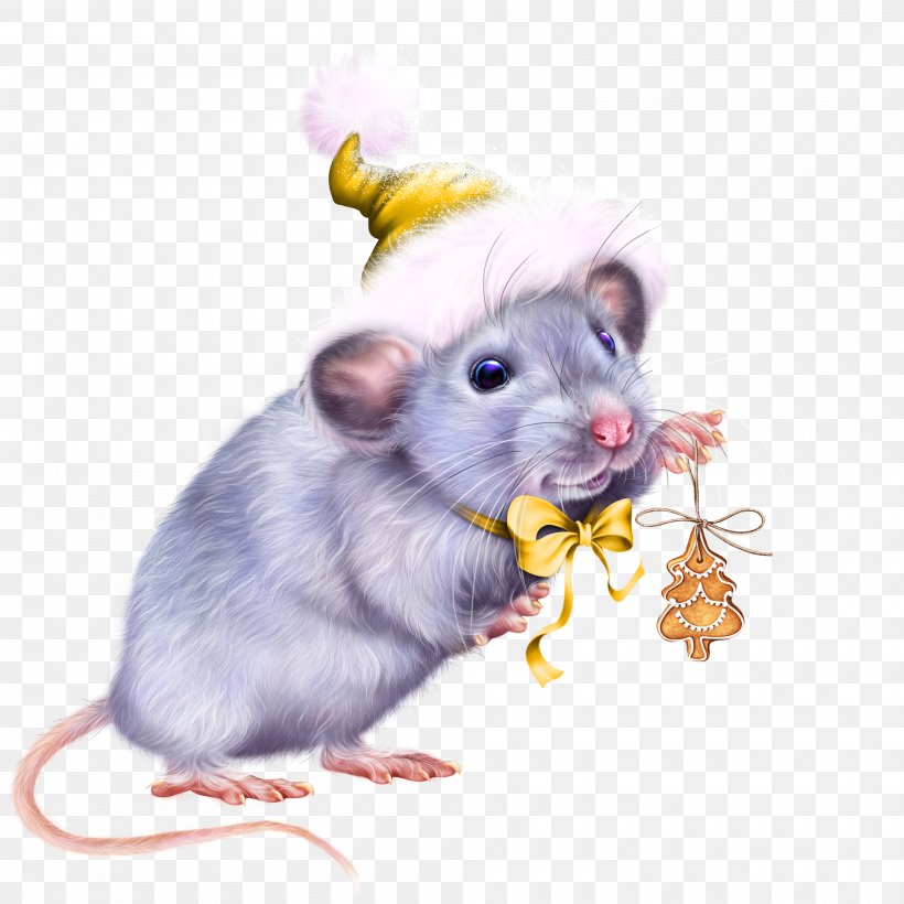 Christmas And New Year Background, PNG, 2000x2000px, New Year, Brown Rat, Chinchilla, Chinese Astrology, Christmas Day Download Free