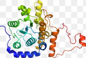 Line - Human Behavior Organism Line Clip Art PNG