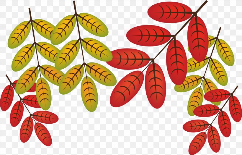 Autumn Leaves Leaf Deciduous, PNG, 4649x2973px, Autumn Leaves, Autumn, Butterfly, Deciduous, Designer Download Free
