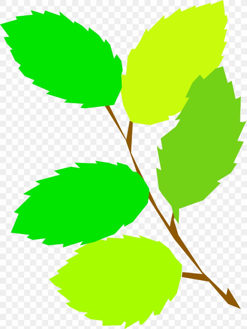 Leaf Green Clip Art, PNG, 1444x1920px, Leaf, Animation, Artwork, Autumn Leaf Color, Blog Download Free