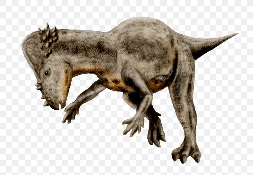 Pachycephalosaurus Cretaceous–Paleogene Extinction Event Stegosaurus Tyrannosaurus Dinosaur, PNG, 800x568px, Pachycephalosaurus, Allosaurus, Archaeopteryx, Cretaceous, Dinosaur Download Free