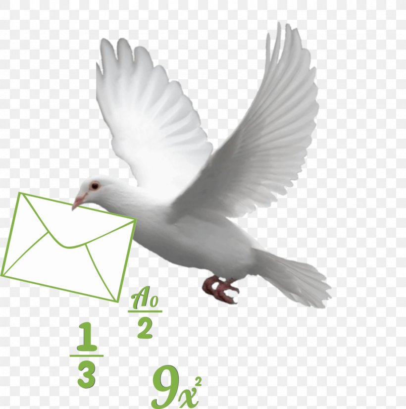 Aakhan Jor Mathematics School Teacher Guru Ganesha Singh, PNG, 1587x1600px, 2017, Mathematics, Beak, Bird, Distance Education Download Free