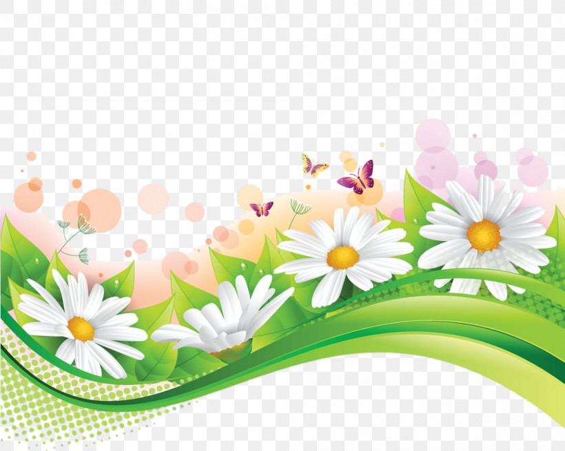 Daisy, PNG, 1000x799px, Daisy, Camomile, Chamomile, Flower, Mayweed Download Free