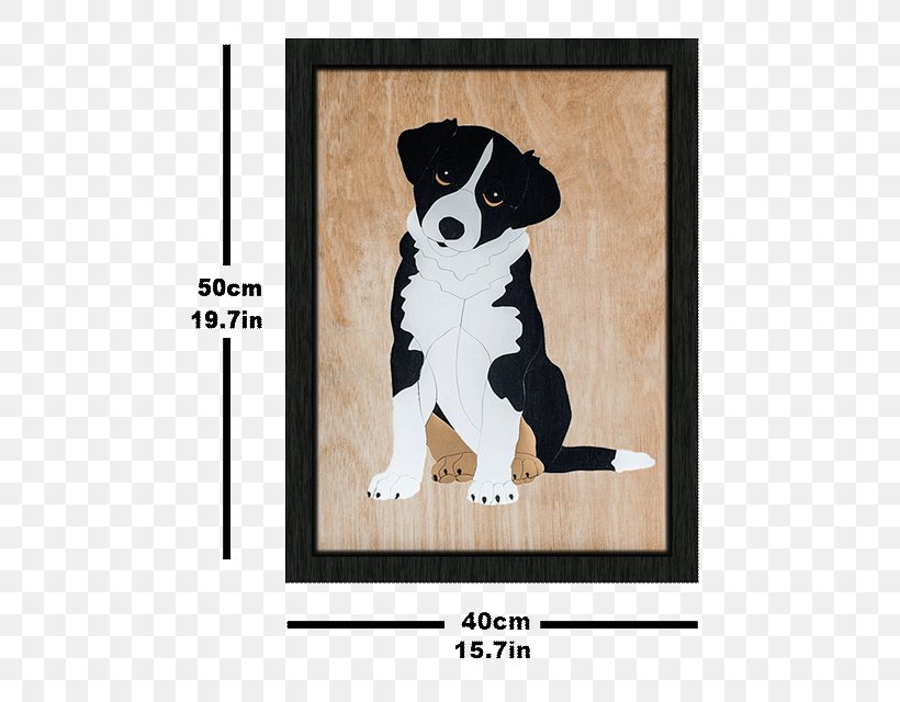 Dog Breed Labrador Retriever Puppy Border Collie, PNG, 551x640px, Dog Breed, Border Collie, Breed, Carnivoran, Collie Download Free