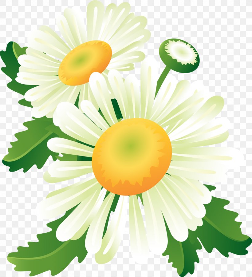 Flower Clip Art, PNG, 1092x1200px, Flower, Advertising, Banner, Chrysanths, Color Download Free