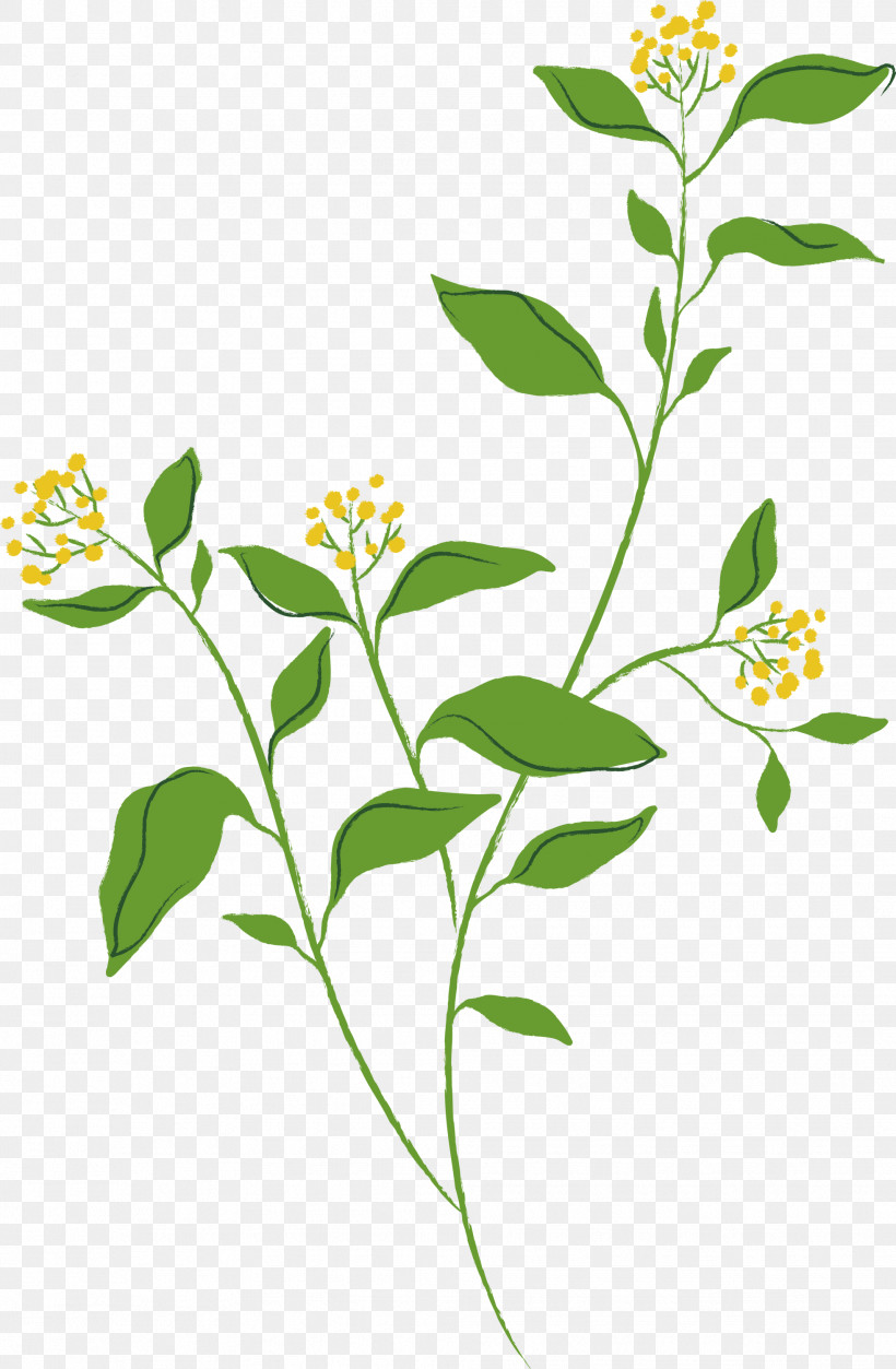 Flower Plant Herbal Plant Stem Herb, PNG, 1962x2999px, Flower, Herb, Herbal, Plant, Plant Stem Download Free