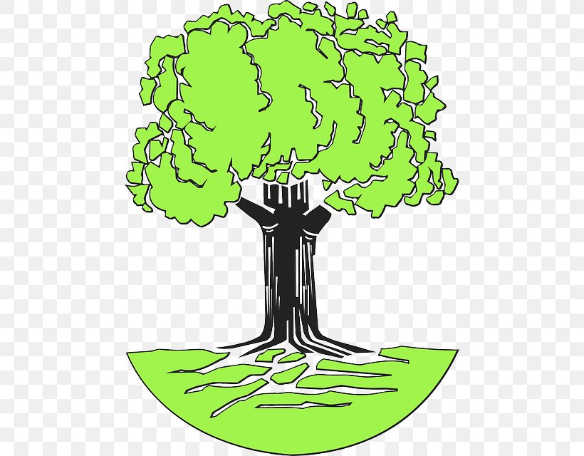 Tree Drawing Root Clip Art, PNG, 470x640px, Tree, Area, Arecaceae, Artwork, Black And White Download Free