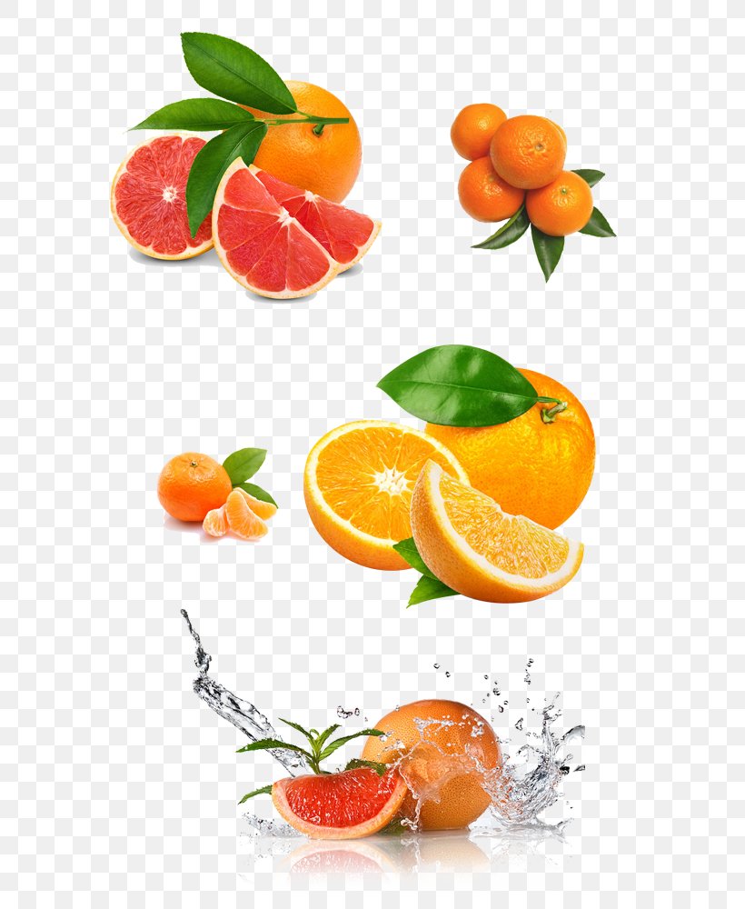 Juicer Lemon Squeezer Orange, PNG, 600x1000px, Juice, Bitter Orange, Blender, Citric Acid, Citrus Download Free