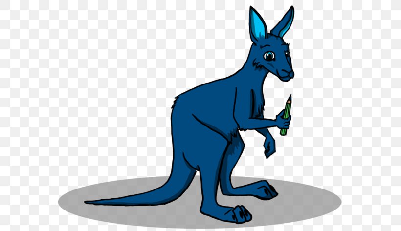 Kangaroo Koala Drawing Clip Art, PNG, 600x473px, Kangaroo, Animal, Animation, Cartoon, Com Download Free