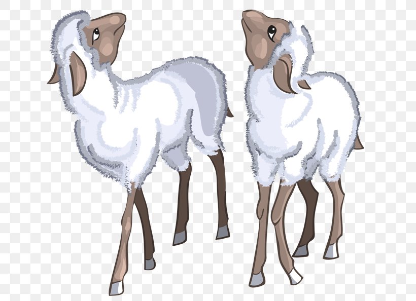 Sheep–goat Hybrid Argali Sheep–goat Hybrid Clip Art, PNG, 650x594px, Sheep, Animal Figure, Argali, Art, Blog Download Free