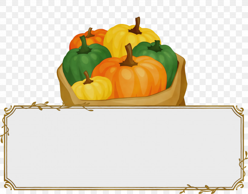 Squash Winter Squash Calabaza Gourd Natural Food, PNG, 3000x2340px, Thanksgiving Banner, Calabaza, Fruit, Gourd, Local Food Download Free