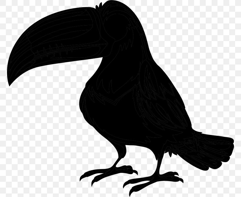 Bird Parrot Toco Toucan Piciformes, PNG, 774x672px, Bird, Beak, Cartoon, Crow, Crowlike Bird Download Free