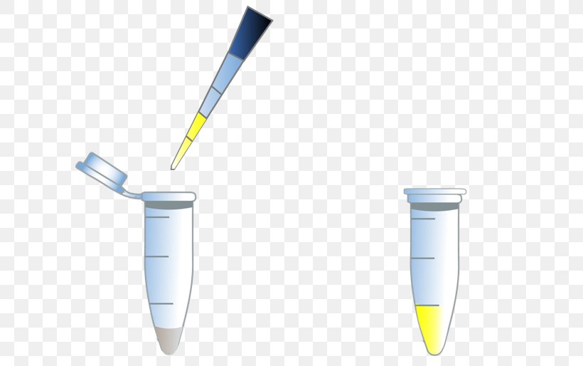 Luciferase Assay Renilla-luciferin 2-monooxygenase Molecular Biology Gene Function, PNG, 767x514px, Luciferase, Assay, Biology, Cell, Firefly Download Free