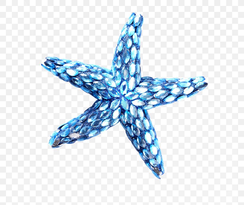 Starfish Blue, PNG, 774x689px, Starfish, Blue, Cartoon, Cobalt Blue, Drawing Download Free
