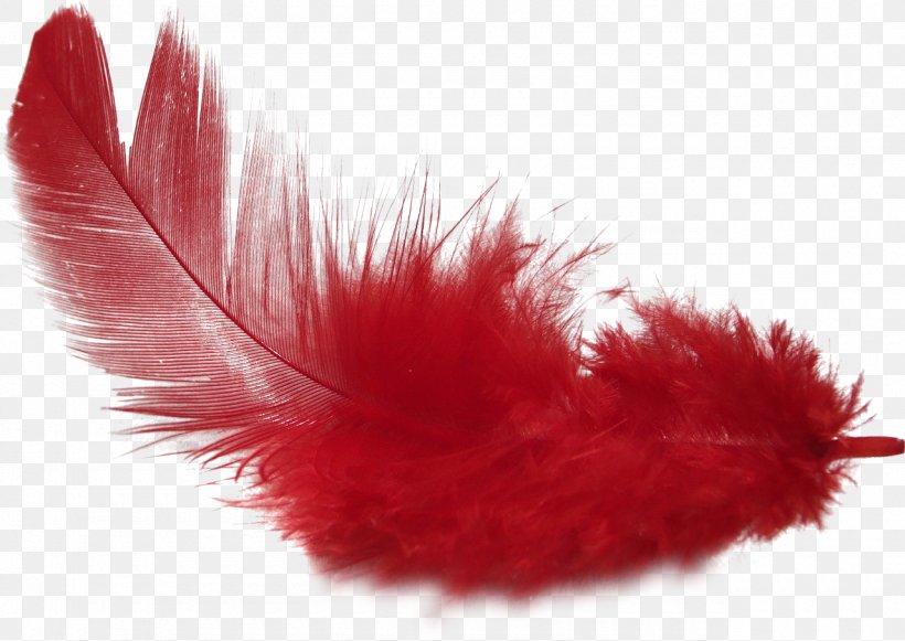 Feather Clip Art, PNG, 1280x908px, Feather, Dots Per Inch, Ink, Paintshop Pro, Quill Download Free