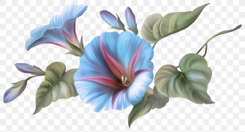 Flower Hawaiian Hibiscus Plant Petal Flowering Plant, PNG, 1200x649px, Flower, Anthurium, Flowering Plant, Hawaiian Hibiscus, Hibiscus Download Free
