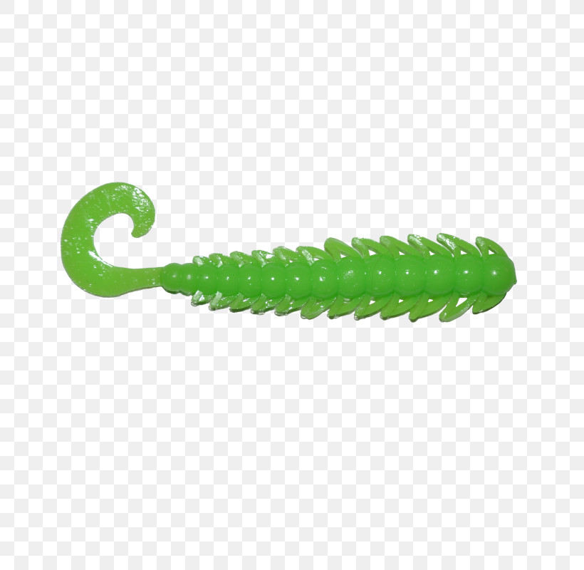 Green Caterpillar, PNG, 800x800px, Green, Caterpillar Download Free