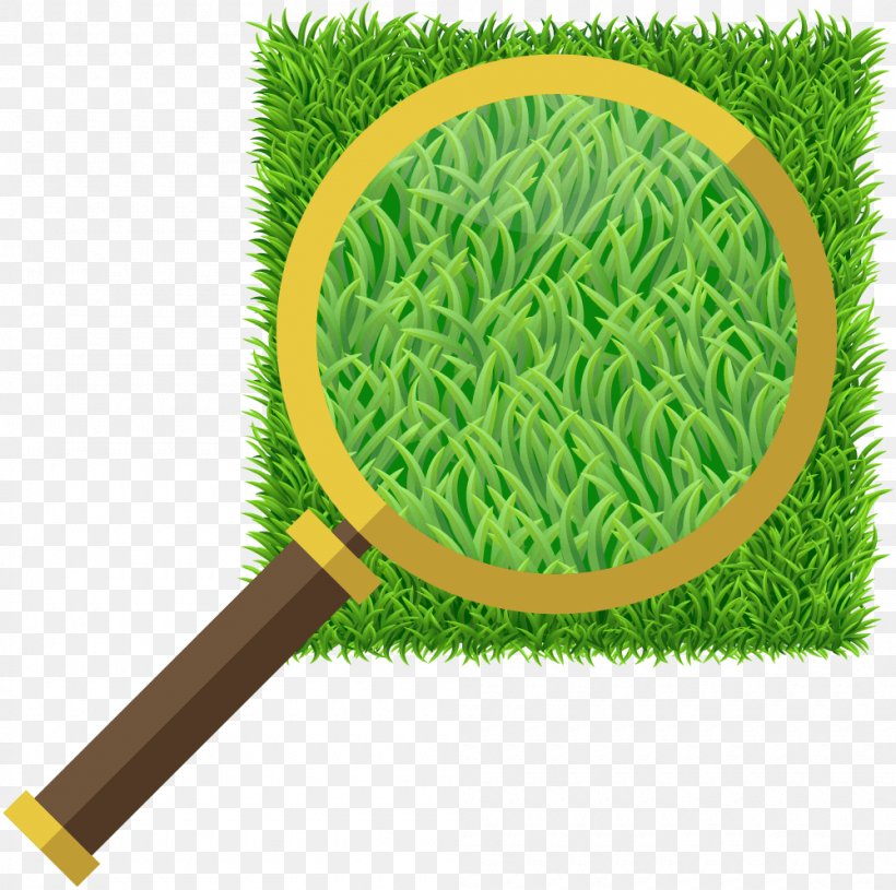 Jack's Turf Artificial Turf Lawn Synthetic Fiber Magnifying Glass, PNG, 1000x995px, Artificial Turf, Family, Glass, Grass, Grass Family Download Free