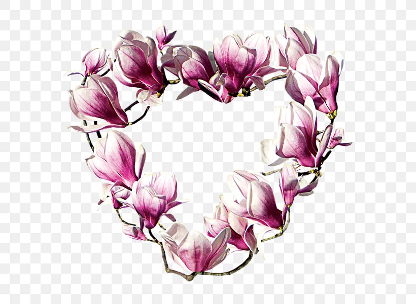 Magnolia Badge Garden Club Flower Zazzle, PNG, 600x600px, Magnolia, Badge, Branch, Floral Design, Flower Download Free