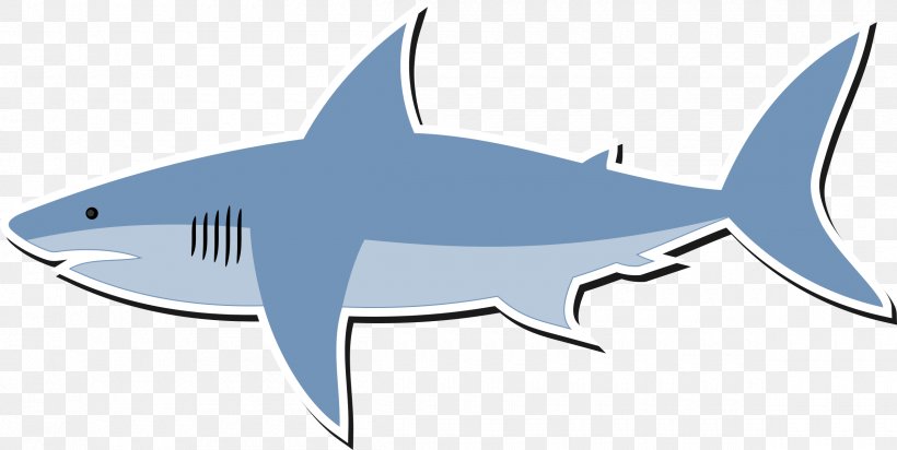 Shark Drawing Cartoon, PNG, 2400x1208px, Shark, Carcharhiniformes, Cartilaginous Fish, Cartoon, Comics Download Free