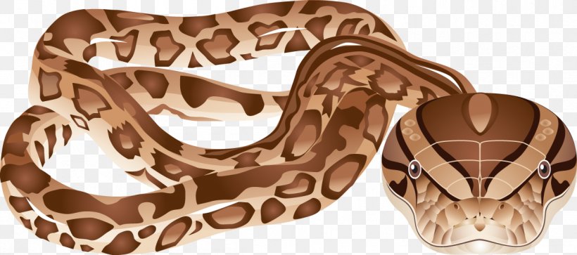 Boa Constrictor Snake Vipers Reptile Clip Art, PNG, 1201x532px, Boa Constrictor, Boas, Cobra, Ophidia, Reptile Download Free