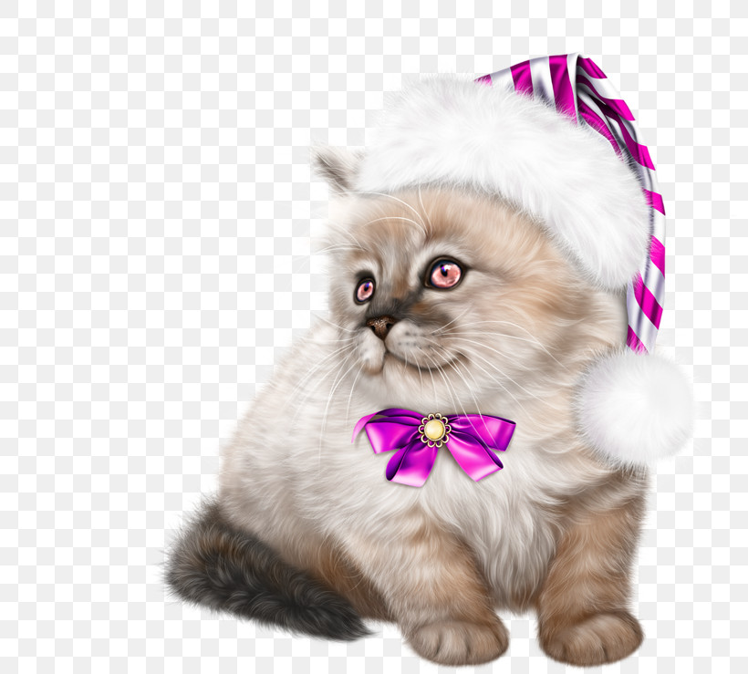 Cat Small To Medium-sized Cats Kitten Pink Persian, PNG, 800x739px, Cat, Kitten, Persian, Pink, Purple Download Free