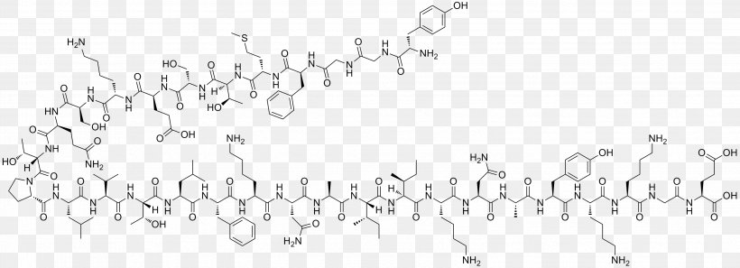 Endorphins Beta-Endorphin Neuropeptide Hormone Neurotransmitter, PNG, 3096x1123px, Endorphins, Area, Betaendorphin, Black, Black And White Download Free