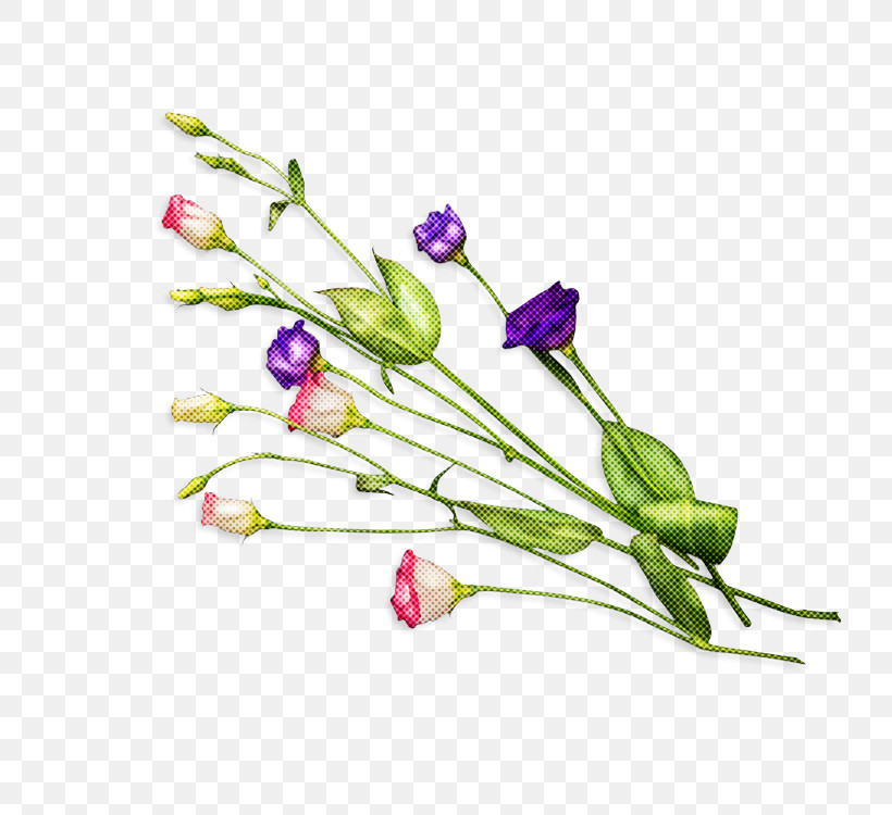 Flower Plant Cut Flowers Pedicel Plant Stem, PNG, 750x750px, Flower, Bud, Cut Flowers, Pedicel, Plant Download Free