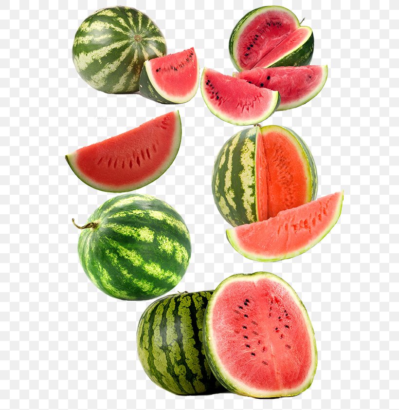 Watermelon Gratis Citrullus Lanatus, PNG, 595x842px, Watermelon, Auglis, Citrullus, Citrullus Lanatus, Cucumber Gourd And Melon Family Download Free