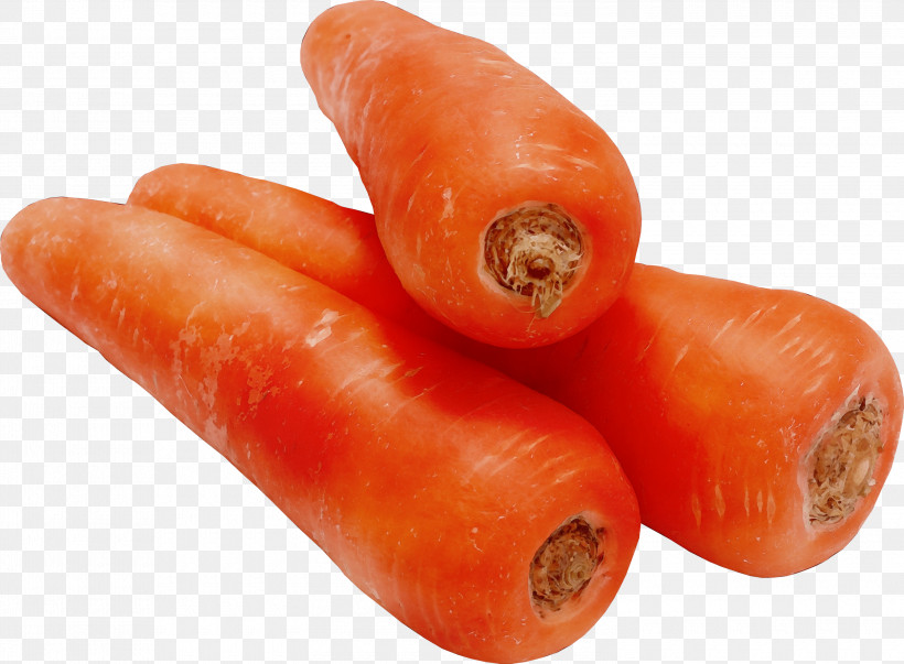 Carrot Food Vegetable Root Vegetable Cuisine, PNG, 3000x2208px, Watercolor, Carrot, Cervelat, Cuisine, Food Download Free