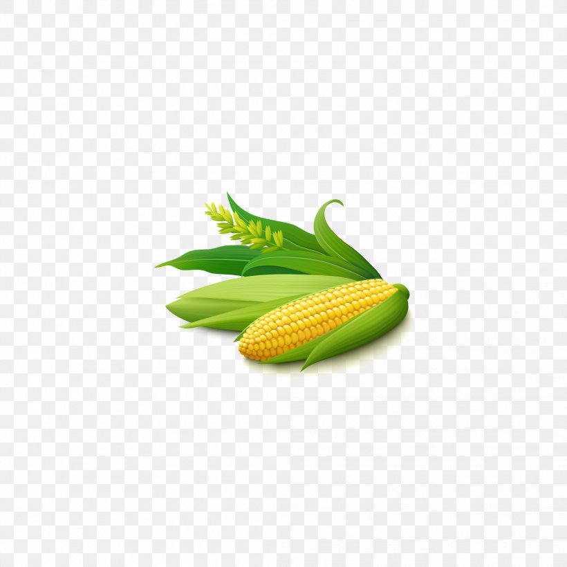 Corn On The Cob Maize Corncob Stock Illustration, PNG, 2083x2083px, Corn On The Cob, Auglis, Corncob, Field Corn, Food Download Free