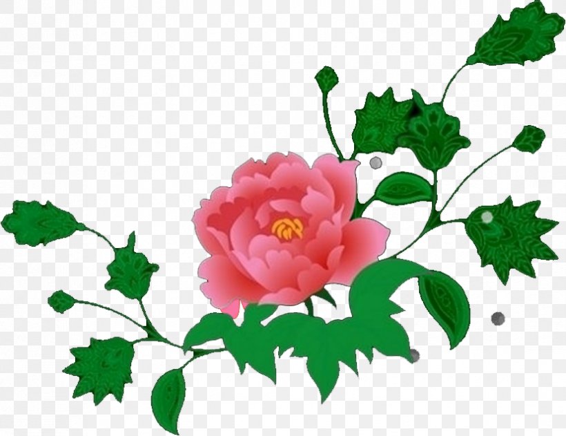 Garden Roses SWF Cut Flowers, PNG, 828x638px, Garden Roses, Branch, Centifolia Roses, Cut Flowers, Flora Download Free