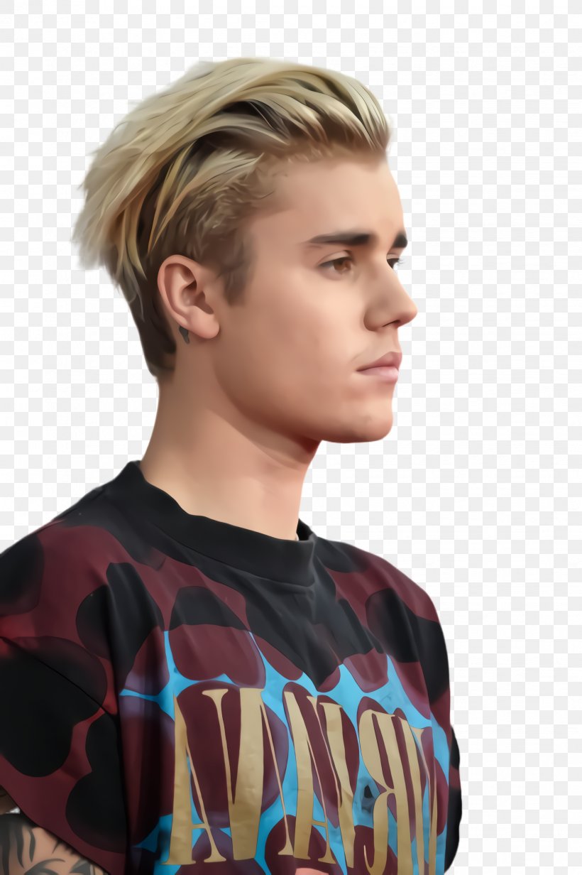 Hair Cartoon, PNG, 1632x2452px, Justin Bieber, Blond, Brown, Brown Hair, Chin Download Free
