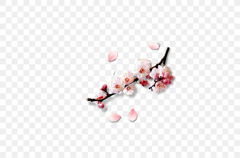 Petal Peach Blossom Computer File, PNG, 726x541px, Petal, Blossom, Branch, Cherry Blossom, Flower Download Free