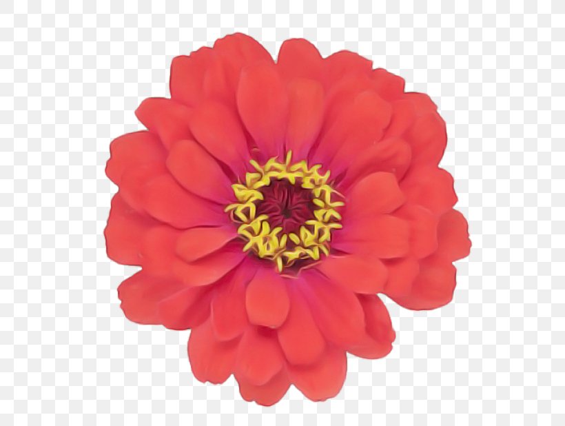 Artificial Flower, PNG, 618x618px, Flower, Artificial Flower, Barberton Daisy, Cut Flowers, Flowering Plant Download Free