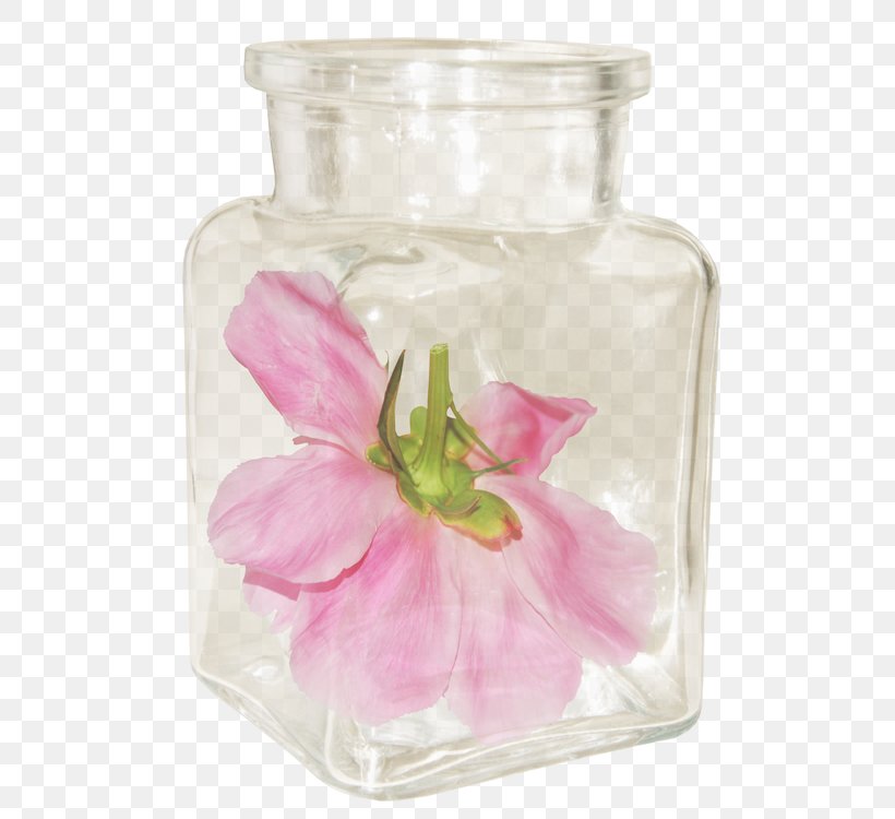 Flower Petal Peony Clip Art, PNG, 538x750px, Flower, Bottle, Garden Roses, Glass, Image Editing Download Free