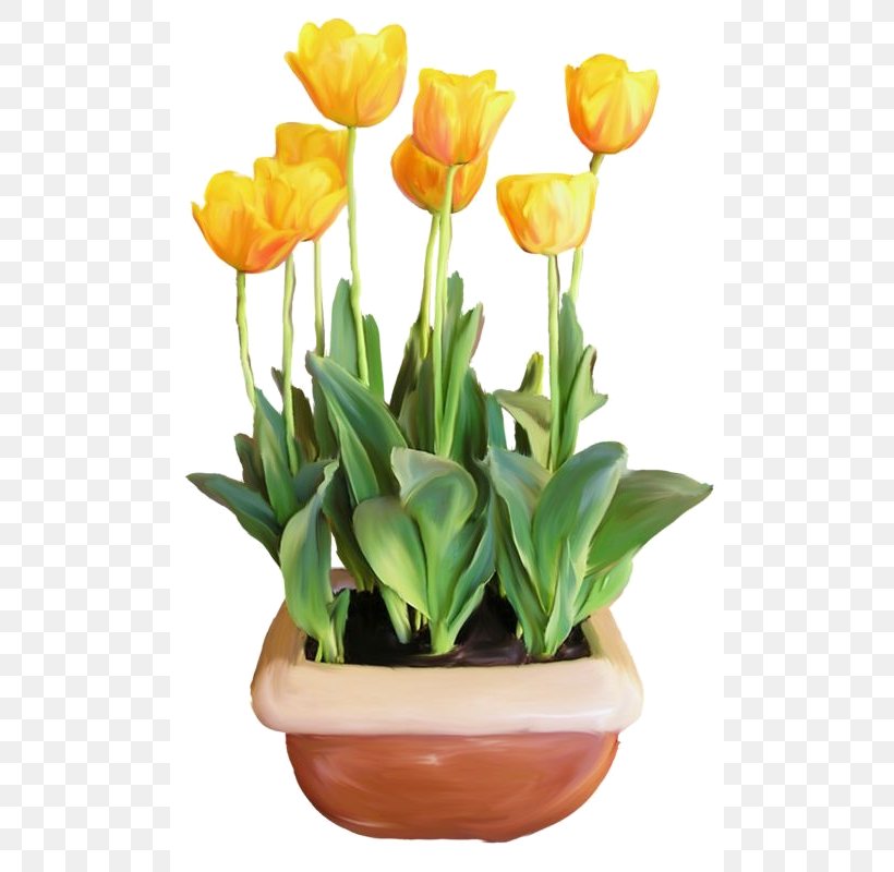Flowerpot Clip Art Tulip Floral Design, PNG, 508x800px, Flower, Artificial Flower, Cactus, Cut Flowers, Floral Design Download Free