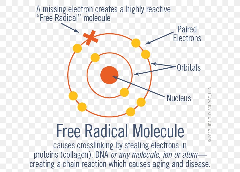 Free-radical Theory Of Aging Ageing Cross-link Molecule, PNG, 640x589px, Radical, Ageing, Antioxidant, Area, Brand Download Free