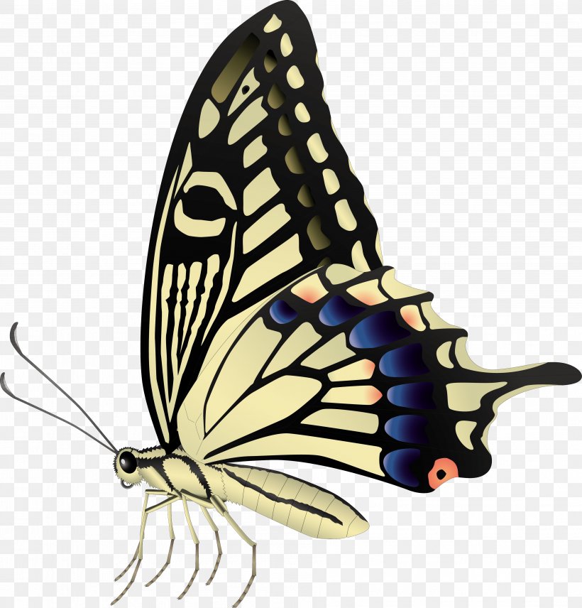 Royalty-free Photography Drawing, PNG, 3778x3947px, Royaltyfree, Art, Arthropod, Brush Footed Butterfly, Butterfly Download Free